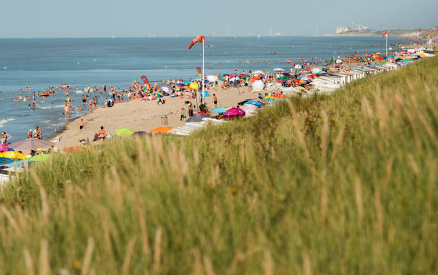 Blutsyde Promenade - Photo 5