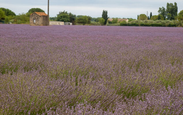 Maison Valoma - Photo 36