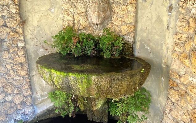 Villa Grassina - Photo 34