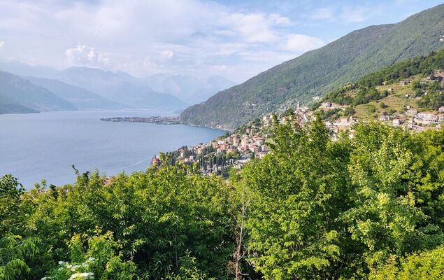 Belvedere - Photo 27