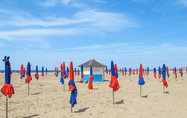 La Normande - Photo 36